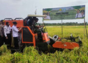 Teknologi Pertanian Modern Dongkrak Produktivitas, Soppeng Capai 10,4 Ton/Ha