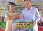 Pemerintah Kabupaten Soppeng Luncurkan Tanam Padi Perdana Program Pertanian Modern