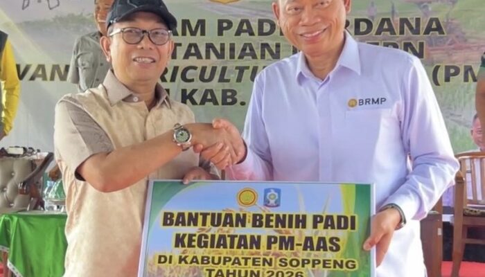 Pemerintah Kabupaten Soppeng Luncurkan Tanam Padi Perdana Program Pertanian Modern
