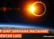 Gerhana Matahari 12 Agustus, Apa Dampak bagi Lingkungan dan Kesehatan?