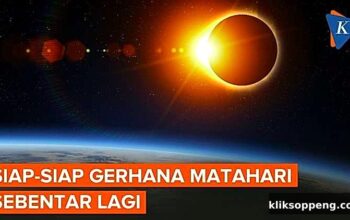 Gerhana Matahari 12 Agustus, Apa Dampak bagi Lingkungan dan Kesehatan?